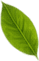 component 24
