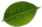 component 25
