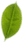 component 27