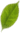 component 29