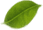 component 4
